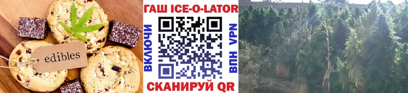 Canna-Cookies конопля  Купить закладки  Иннополис 