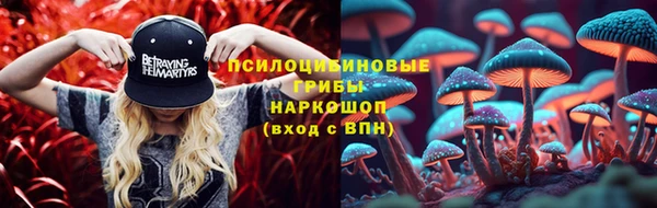 метамфетамин Козловка